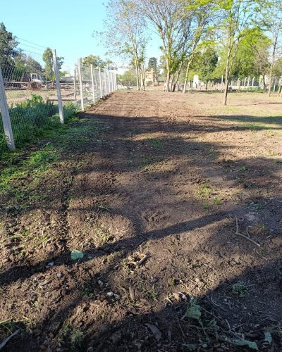nivelacion y rampas 4